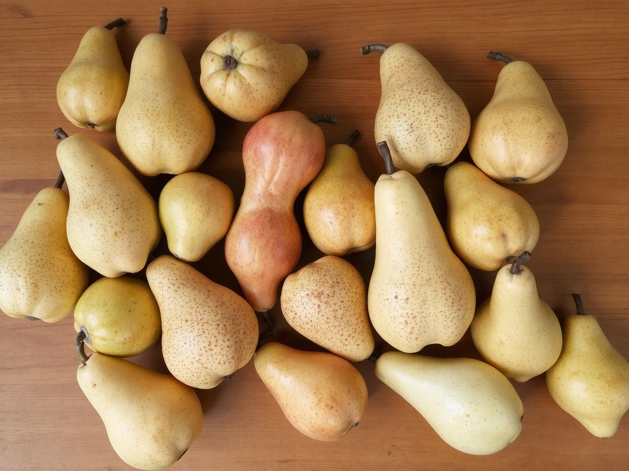 A körte fajtái vitamindúsak, rostban gazdagok és ízletesek.