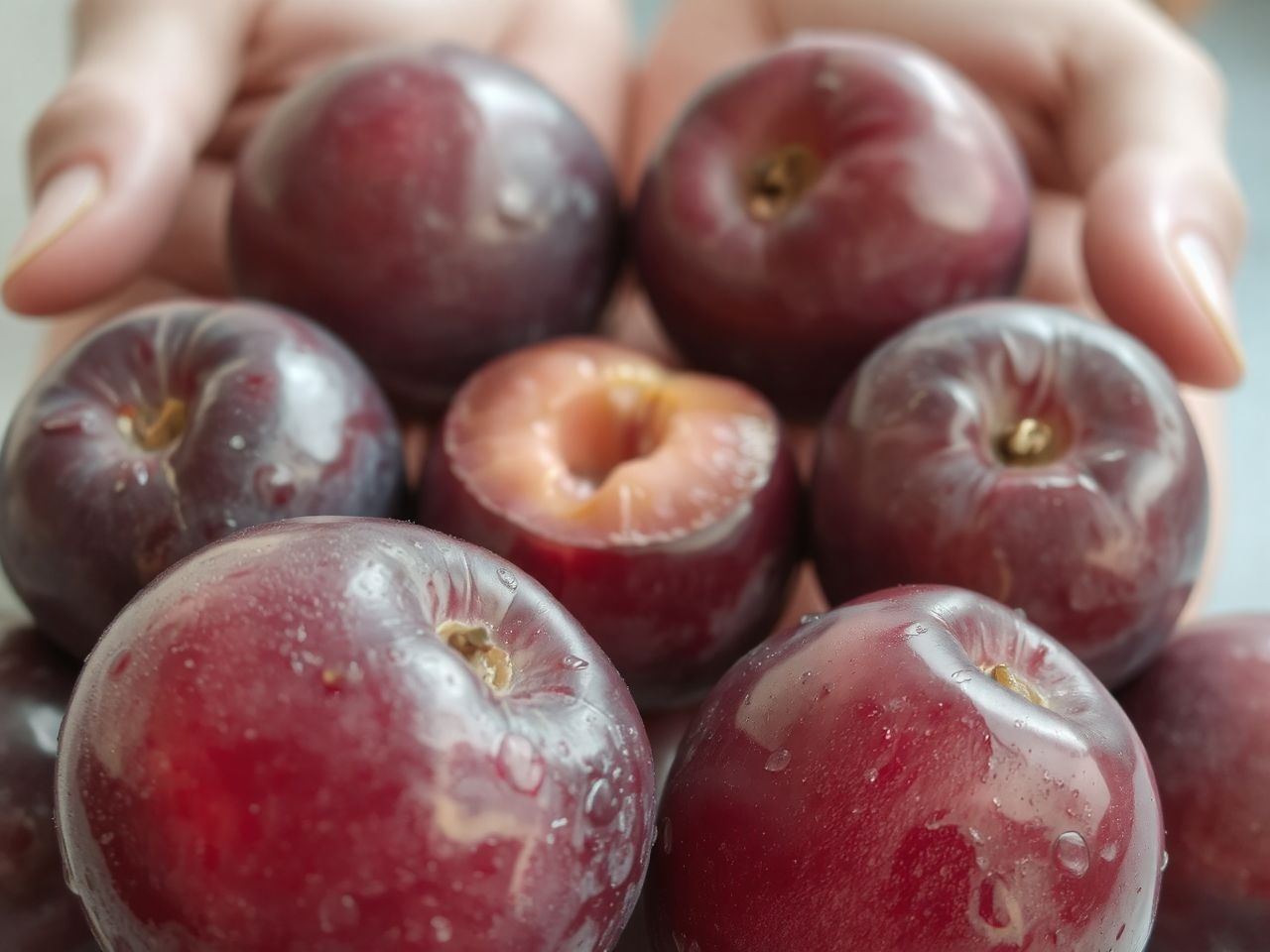 A szilva erős antioxidáns, amely védi a sejteket a károsodástól.