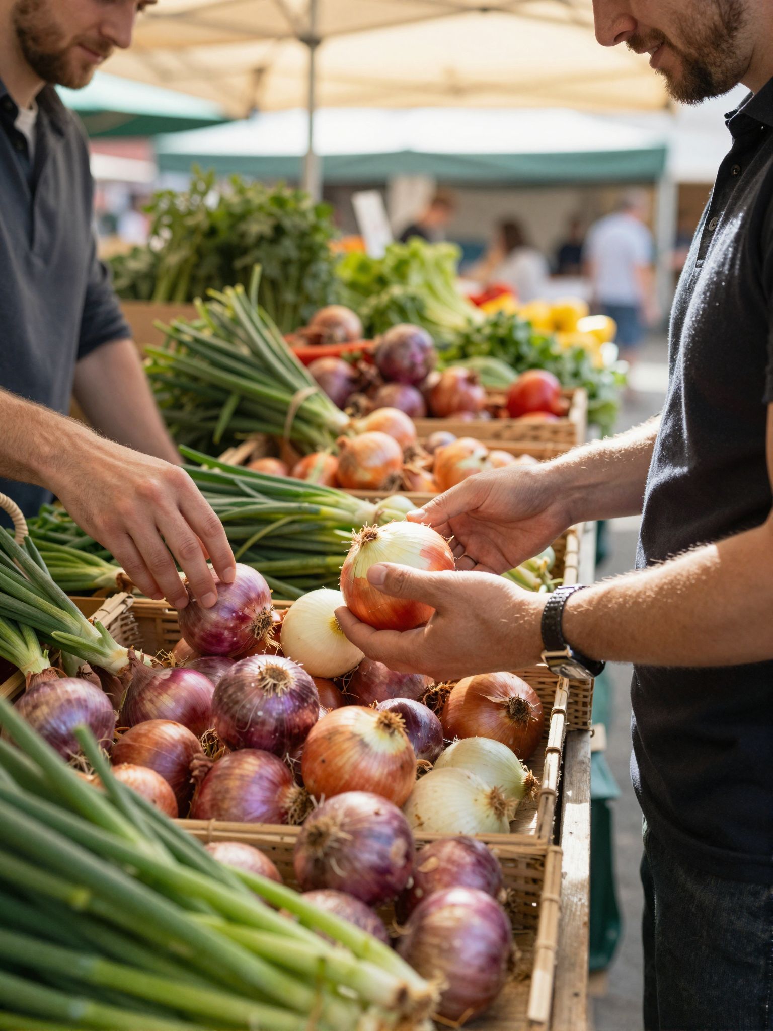 A hagymát száraz, hűvös helyen tároljuk, hosszabb eltarthatóságért.